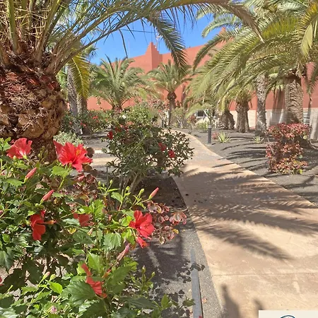 New Tamarindo La Ola Apartmán Corralejo