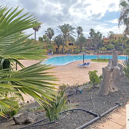 New Tamarindo La Ola Corralejo