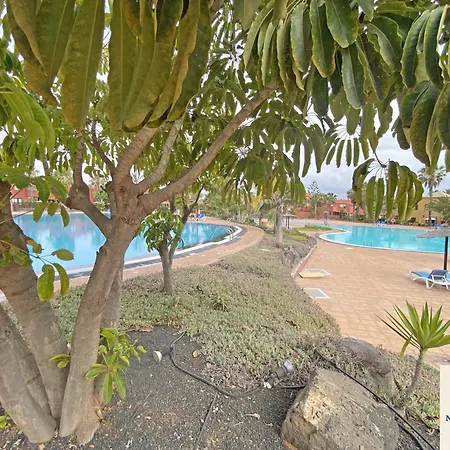 New Tamarindo La Ola * Corralejo