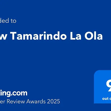 New Tamarindo La Ola 科拉雷侯